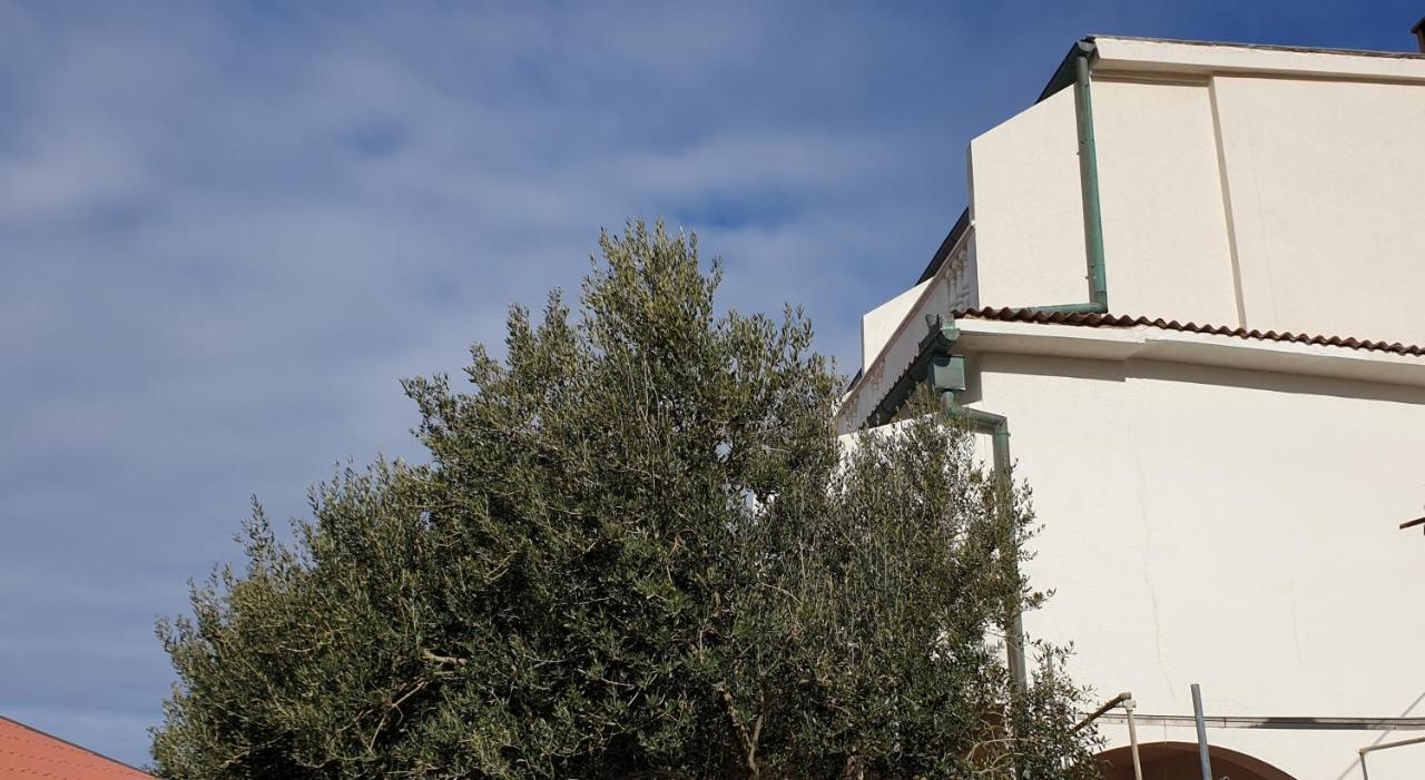 Bellavista bed&breakfast Pag Town Eksteriør billede